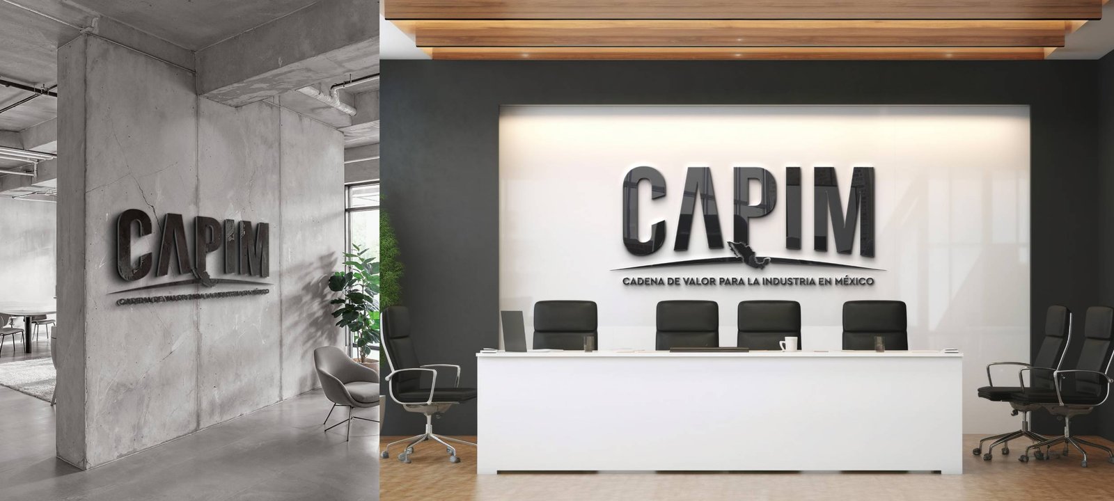 CAPIM_5